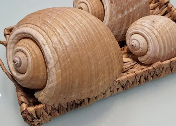 Διαμέρισμα Step 2 Sky Σπλιτ